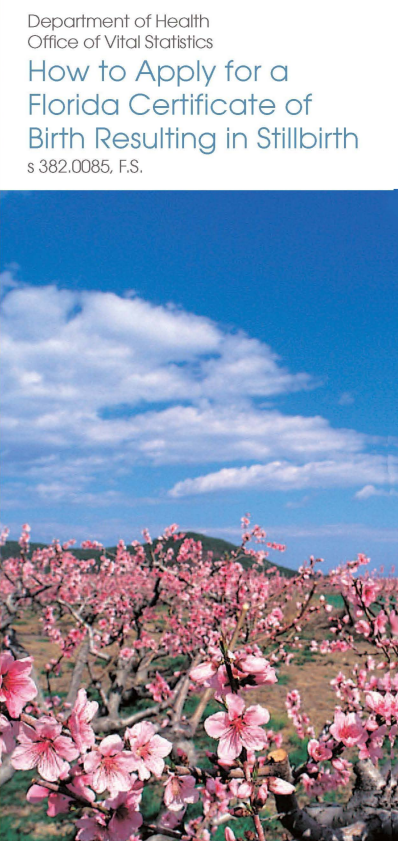 A Blue sky with some white clouds and a few pink flowers