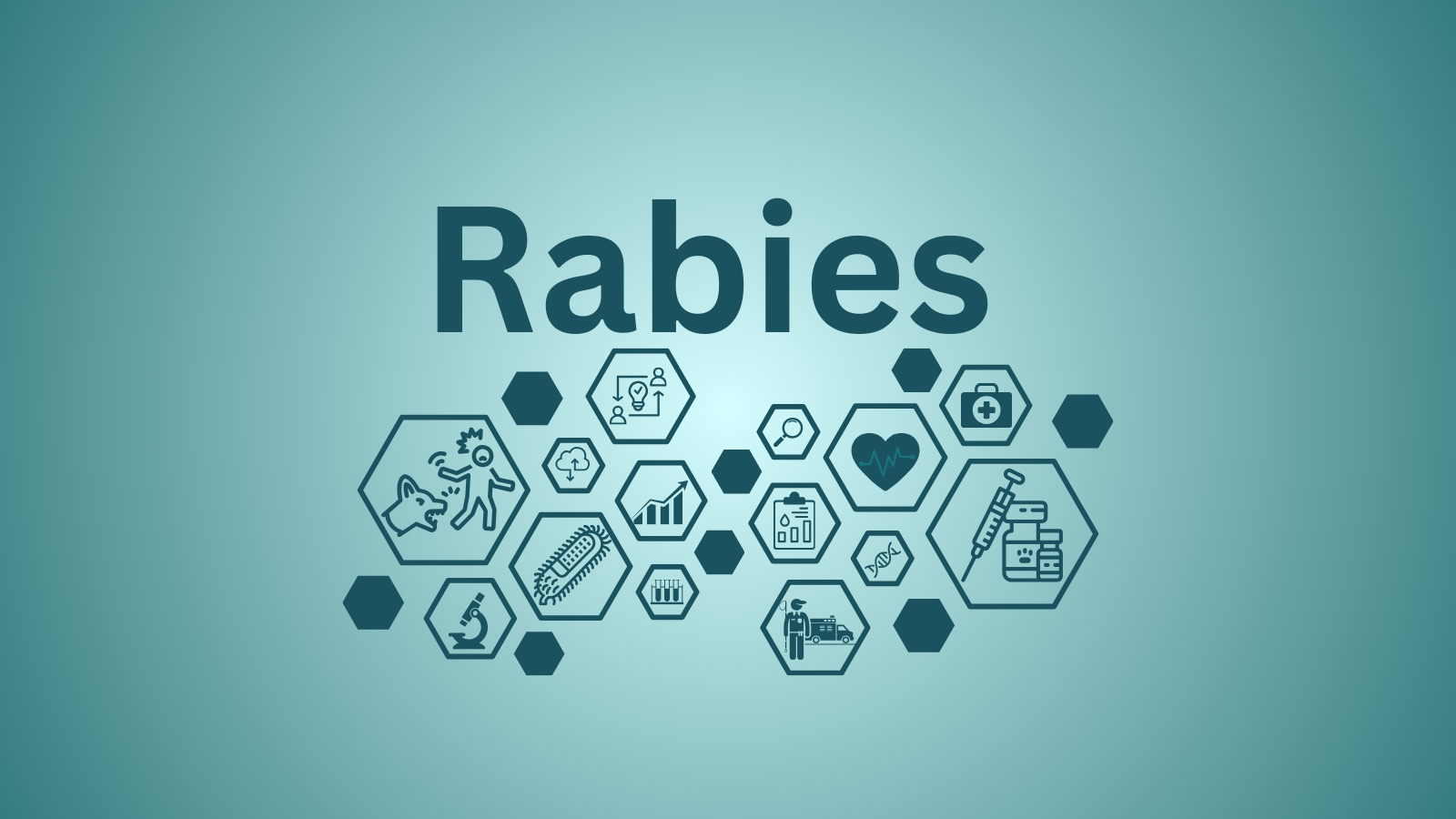 Rabies text in green with some different healthy and prevention icons