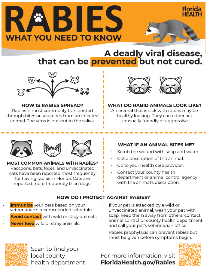 Rabies what you need to know